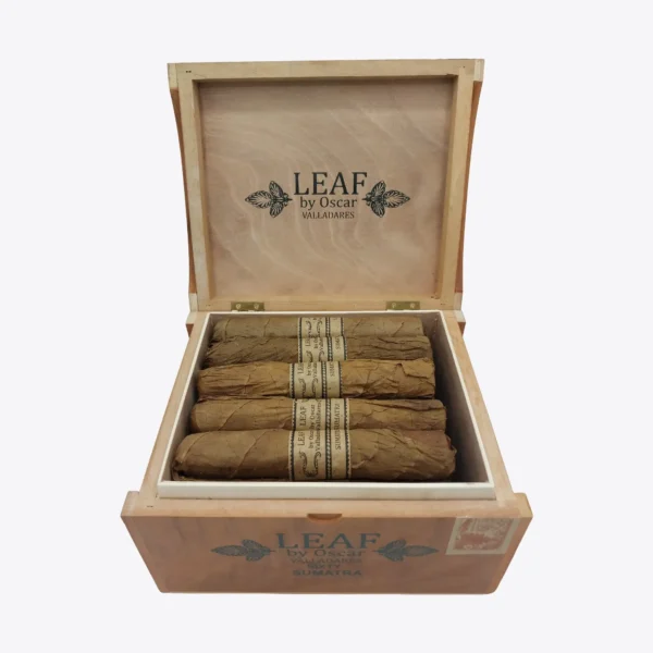 Leaf by Oscar Sumatra Sixty Box open Leaf by Oscar Sumatra Sixty Box Open