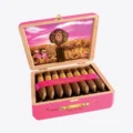 Arturo Fuente Rare Pink VS Work of Art, open box