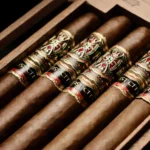 Arturo Fuente Opus X Lost City 5 Cigar Sampler Closeup