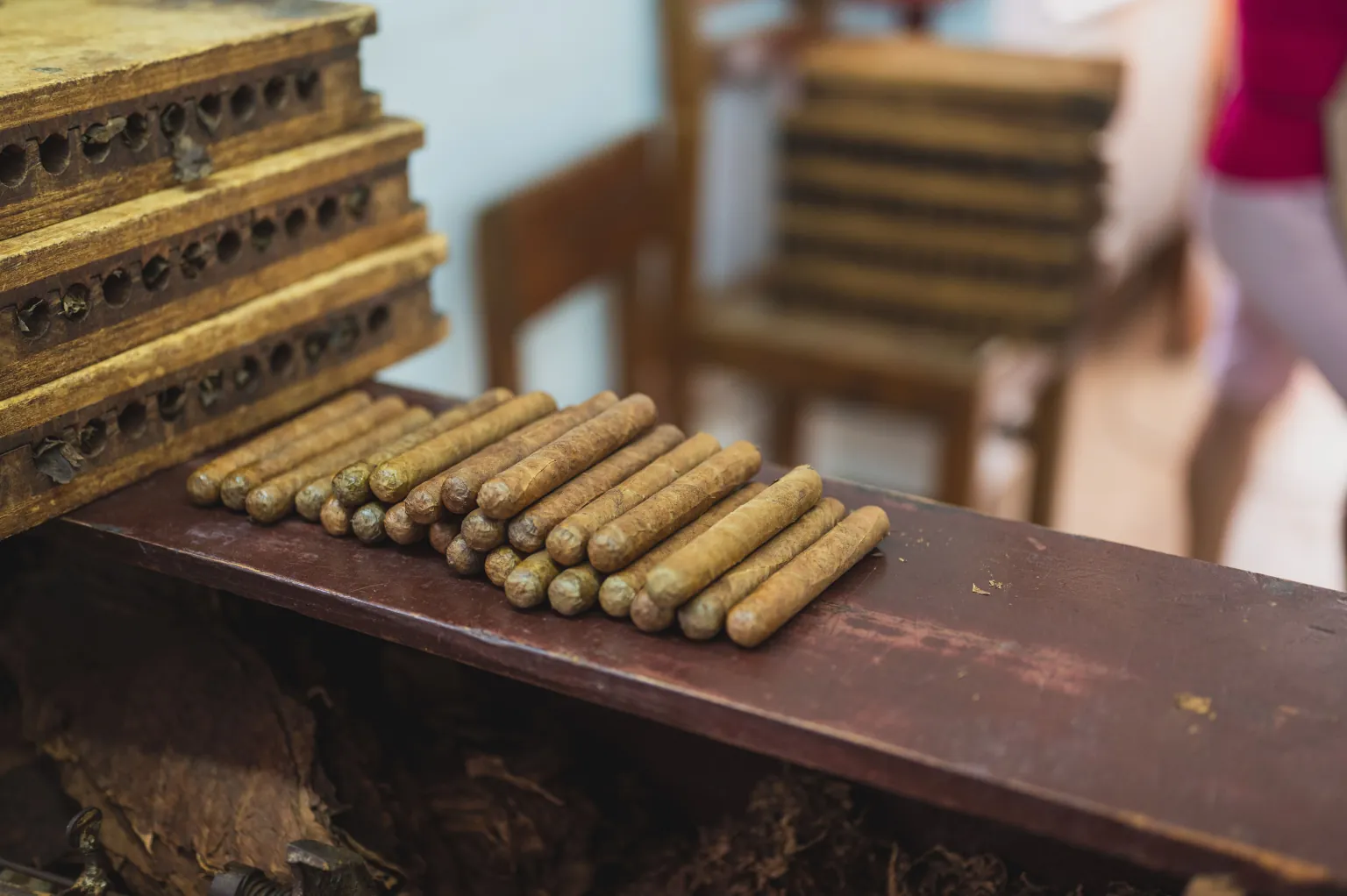 Rows of newly rolled cigars beside wooden cigar molds in a workshop