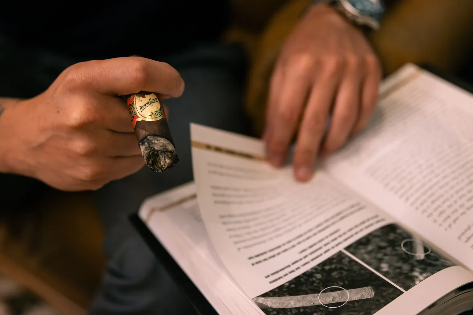 Person holding a Brick House cigar while reading an illustrated cigar guide