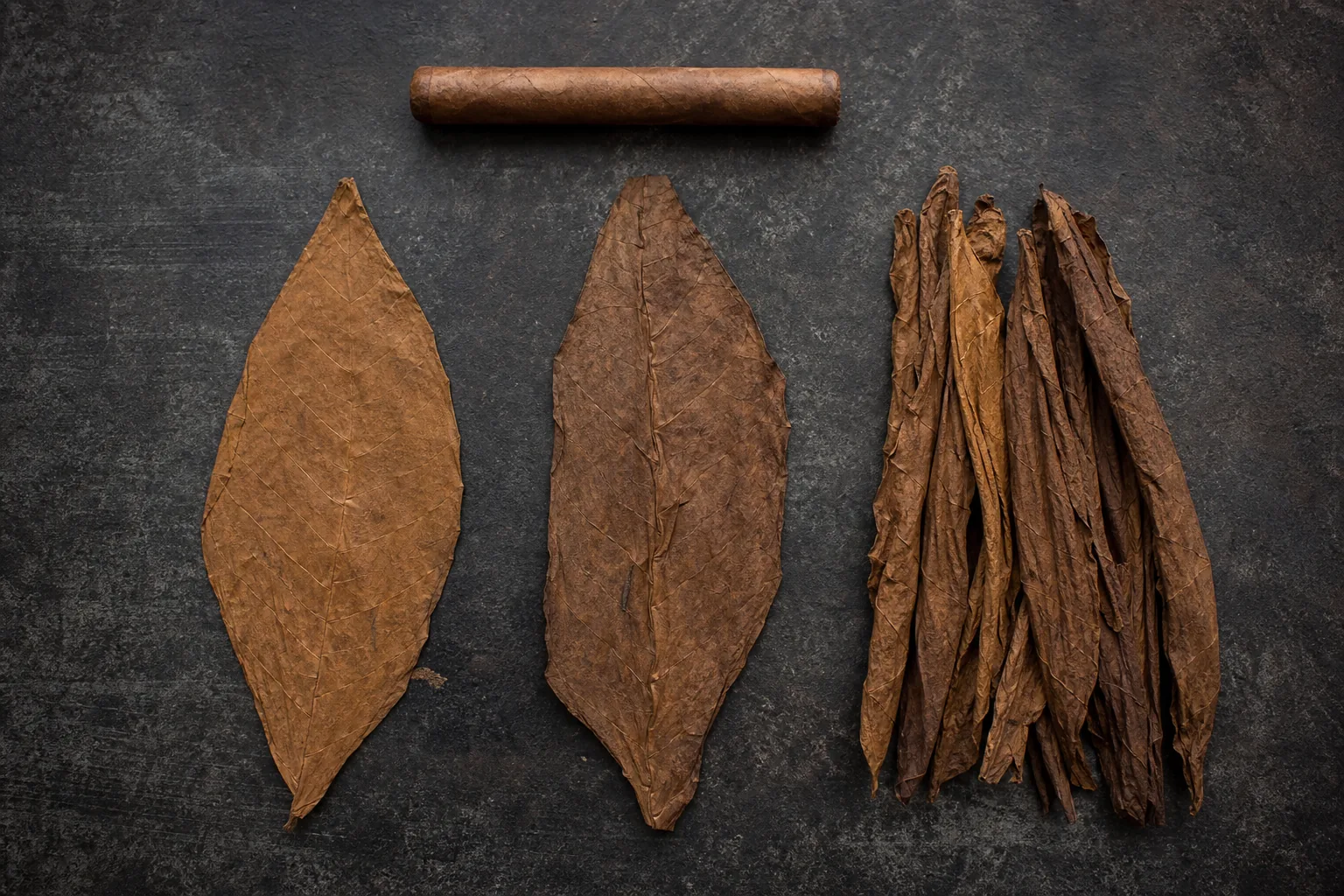 Wrapper, binder, and filler tobacco leaves arranged beside a finished cigar