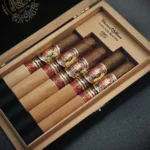 Don Carlos Edicion de Anniversario 5 Cigar Assortment Open