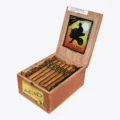 Acid Gold Holistics Cold Infusion Tea box of 24 open
