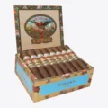 San Cristobal Revelation Prophet Box Open