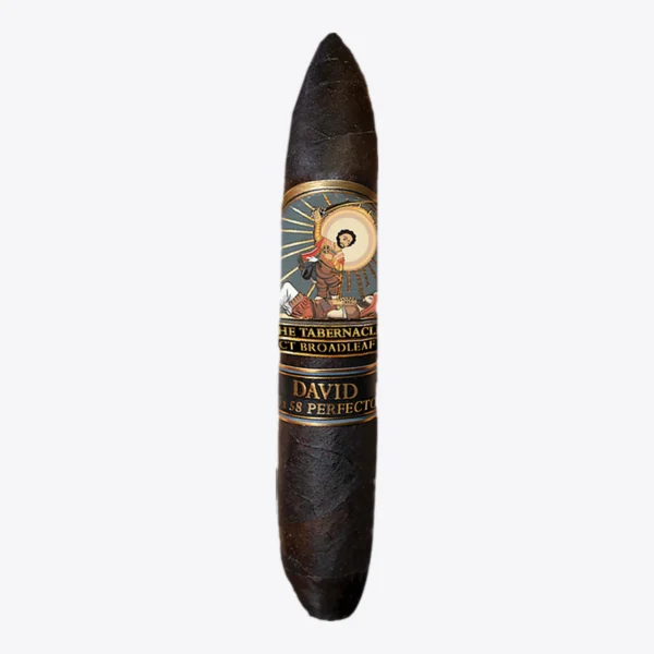 The Tabernacle David Single