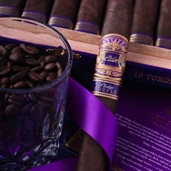 EP Carrillo Pledge Purple Toro lifestyle photo