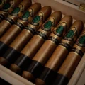 God of Fire KKP Never Back Down Diadema 56, 6 1/4 x 56 Diadema by Prometheus