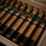 God of Fire KKP Never Back Down Diadema 56, 6 1/4 x 56 Diadema by Prometheus