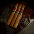 God of Fire KKP Special Reserve Toro Extra 54 cigars on the Macassar ebony humidor lid