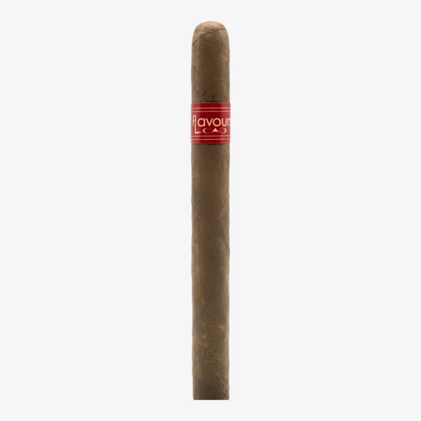 CAO Flavours Cherrybomb Tubos Single cigar